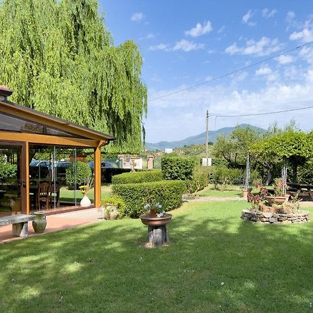 Agriturismo Terra Di Elea Azienda Agricola Di Raimondo Michela Ascea Exterior foto
