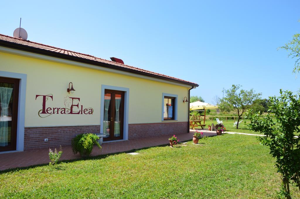 Agriturismo Terra Di Elea Azienda Agricola Di Raimondo Michela Ascea Exterior foto